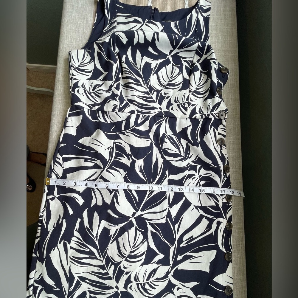 Ann Taylor Navy & White Leaf Pattern Dress - Sz 8P - Picture 9 of 11